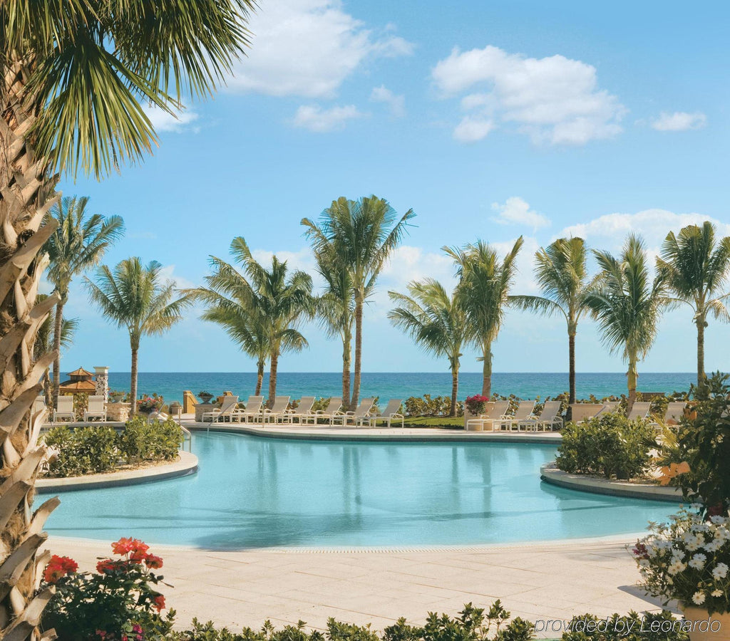 My Perfect Palm Beach